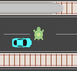 Sprinter Turtle