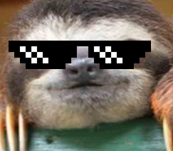 Where is the Sloth?